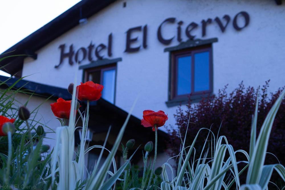 Hotel El Ciervo ヴィヤリカ エクステリア 写真